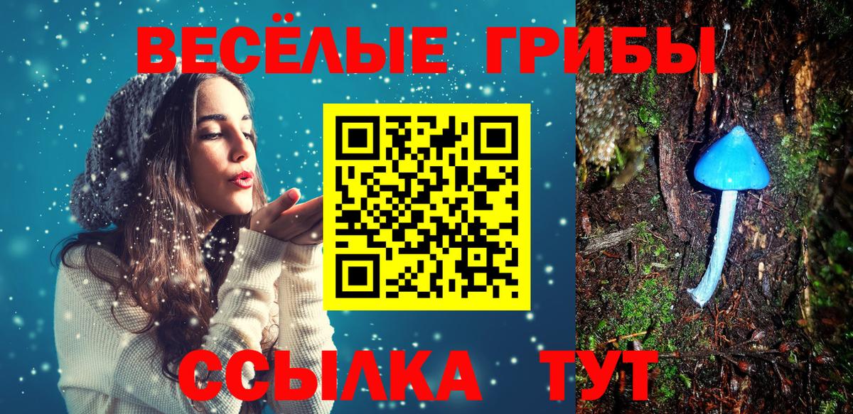 Псилоцибиновые грибы ЛСД  Вход с VPN  Мытищи 