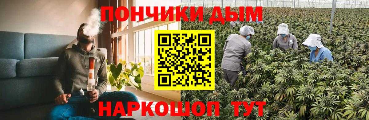 Марихуана Amnesia  Бошки марихуана THC 21%  Вход с VPN  Мытищи  Бошки Шишки White Widow 
